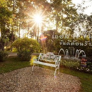 Le Saichan, Maejo Chiang Mai